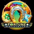 Fortune Multiplier screenshot